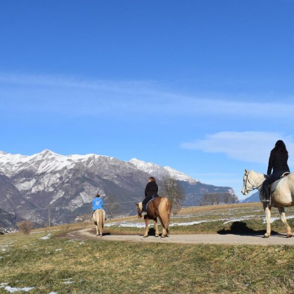 Centro di Equitazione Sentieri di Stelle