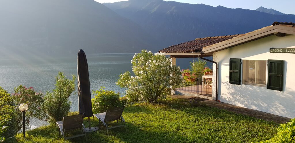 De groene Hagedis Lago d'Idro